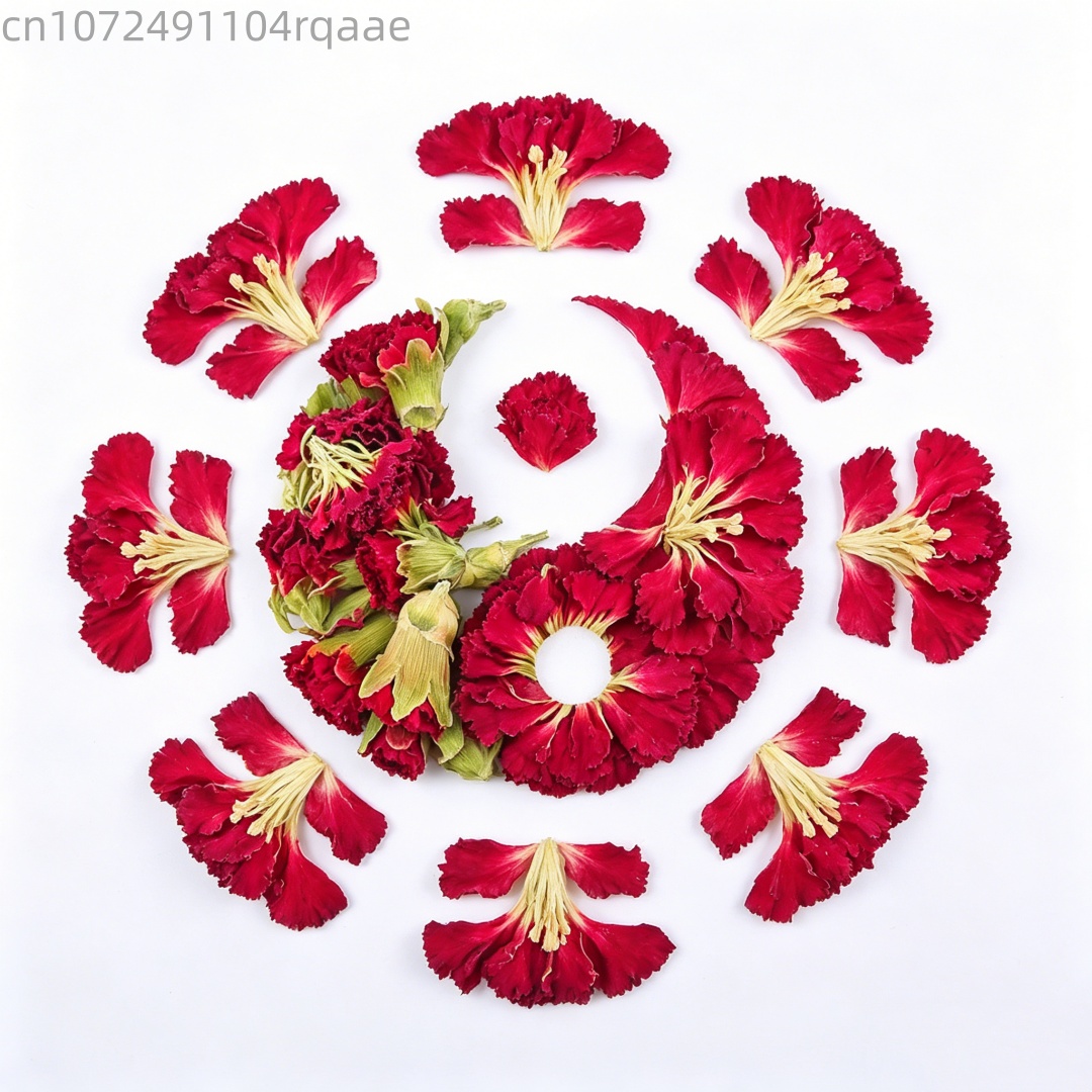 Potpourri Dried Flower - ดอกคาร์เนชั่นแห้งคุณภาพสูงจากธรรมชาติ สำหรับทำสบู่ งานฝีมือเทียนหอม ตกแต่งงานแต่งงาน โป๊ปปัวรี และของตกแต่งบ้าน