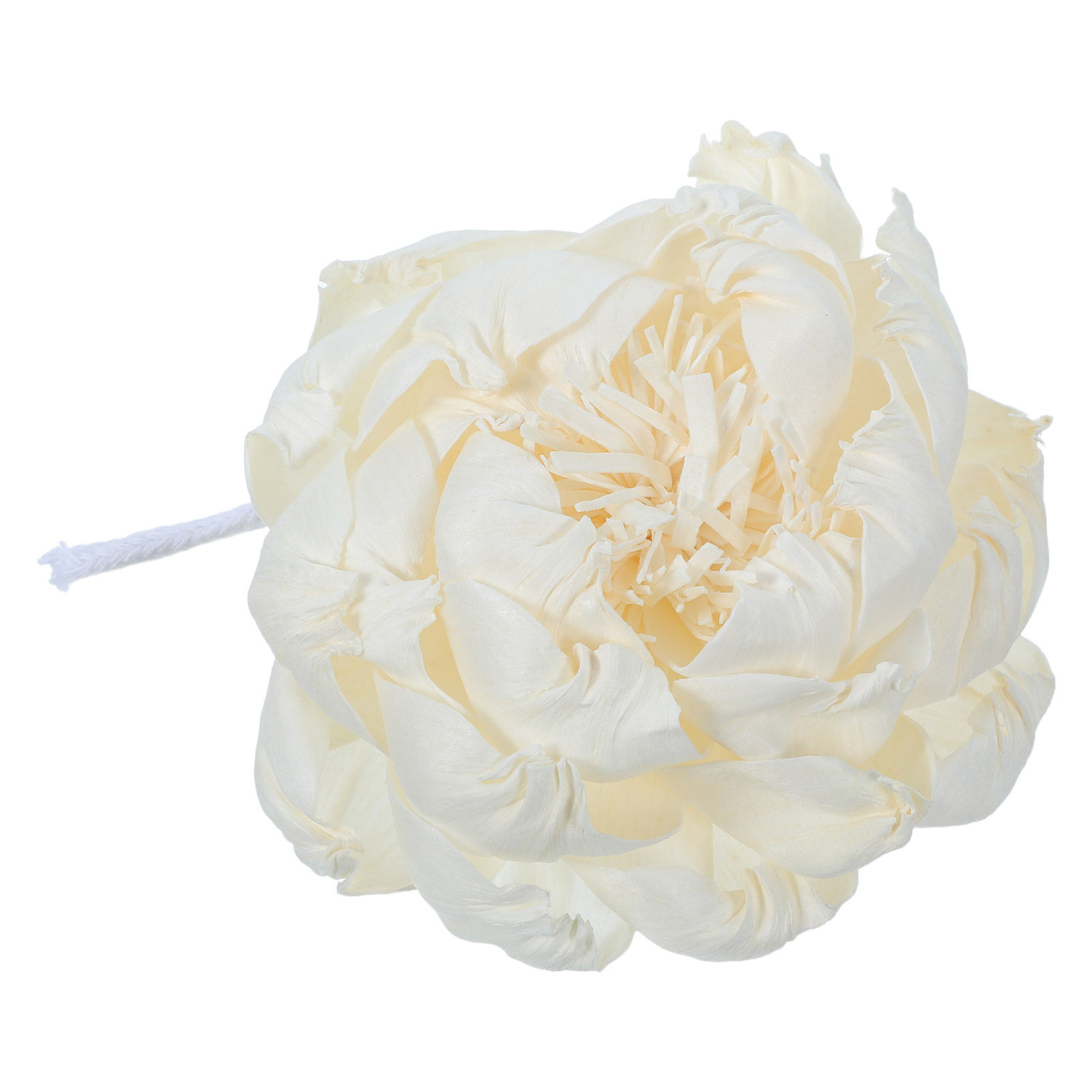 เครื่องกระจายกลิ่นหอมดอกโบตั๋น - Home Fragrance Oil บทวิจารณ์และราคา