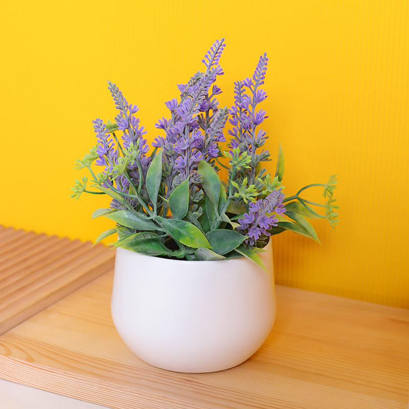 1 ชิ้น - หม้อลาเวนเดอร์จําลอง, - Potpourri Dried Flower บทวิจารณ์และราคา