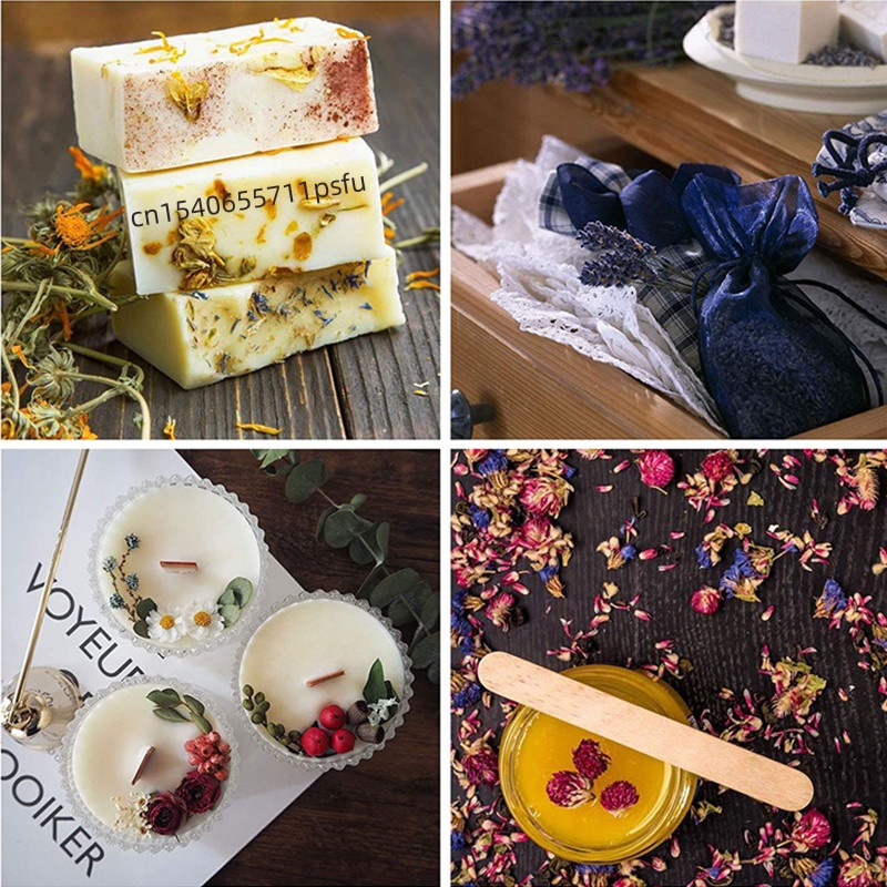 ดอกคาร์เนชั่นแห้งคุณภาพสูงจากธ - Potpourri Dried Flower บทวิจารณ์และราคา