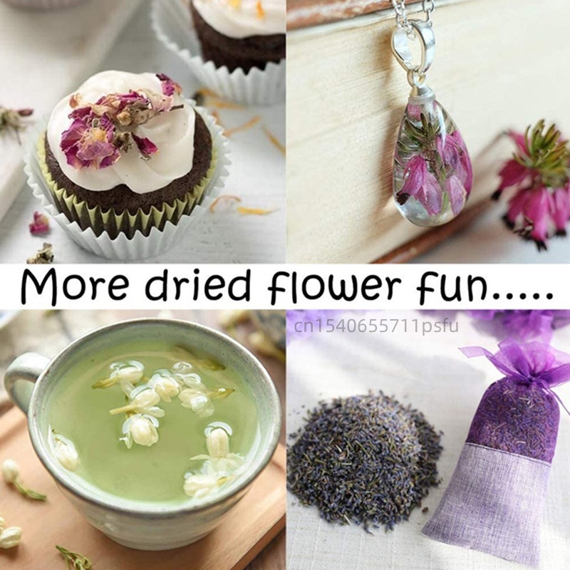 ดอกมะลิแห้งคุณภาพสูงจากธรรมชาต - Potpourri Dried Flower บทวิจารณ์และราคา